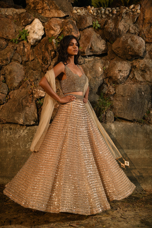 EMBELLISHED LEHENGA SET