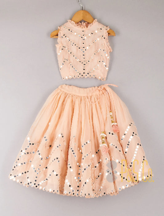 Faux Mirror Work Zig Zag Design Top And Lehenga Light pink