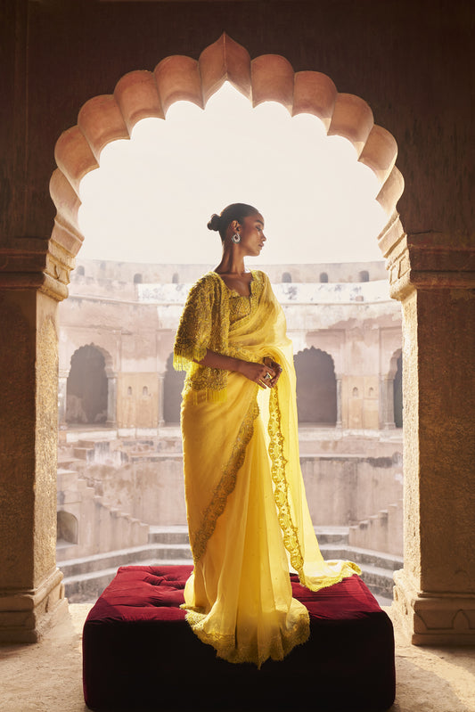 Dream weaver blouse, cape and saree set