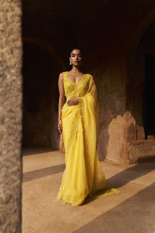 Dream weaver blouse and saree set