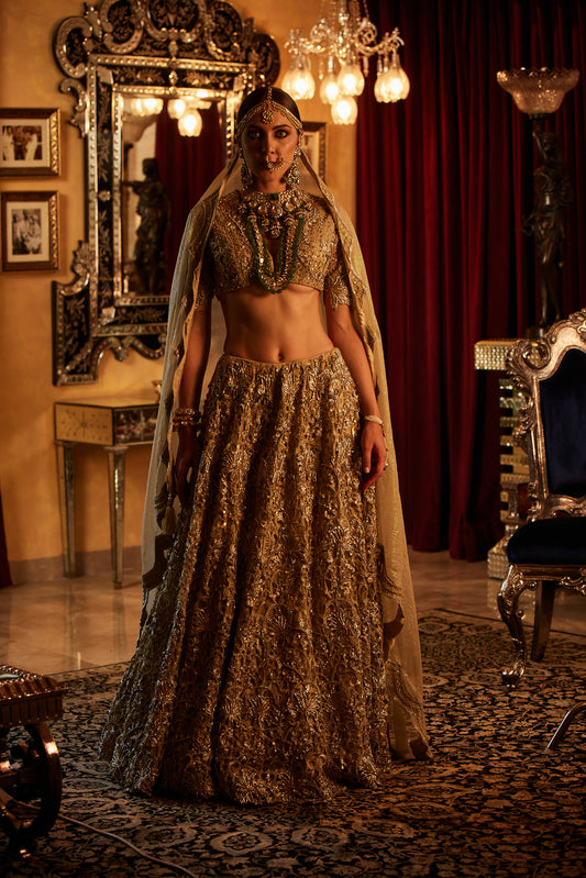 Golden Lace fully embroided Lehenga , Blouse & Dupatta