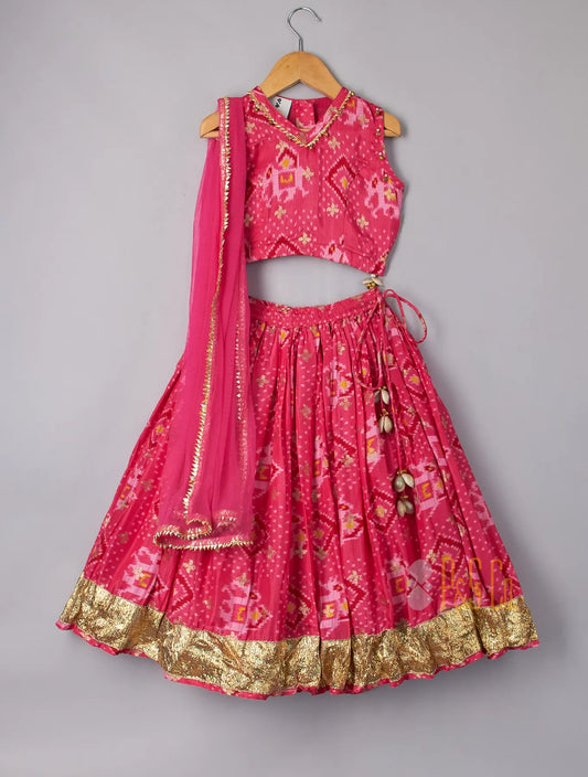 Pink Patola Elephant Print Ghagara