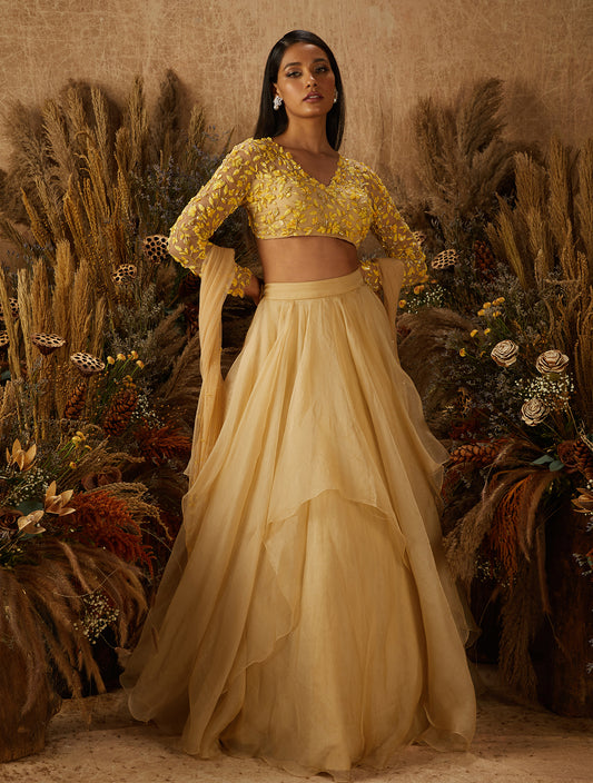 Beige Organza Layered Lehenga Set