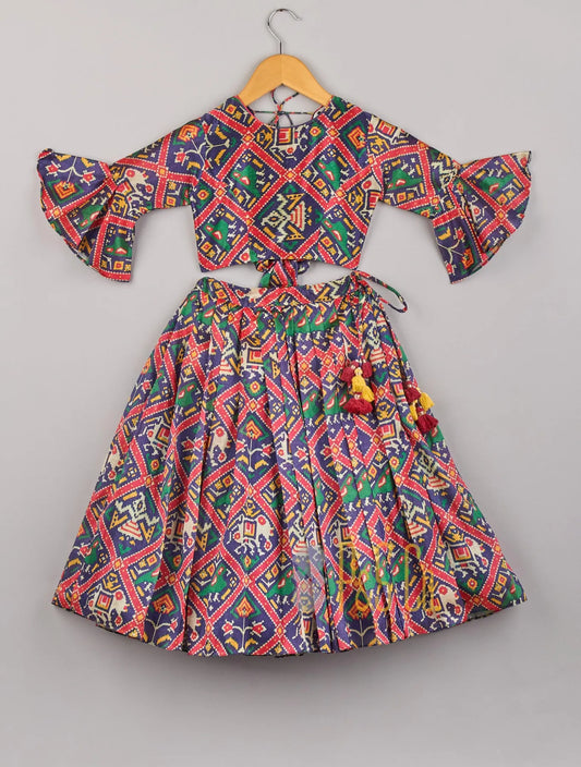 Stunning Tussar Silk Printed Top And Ghagra