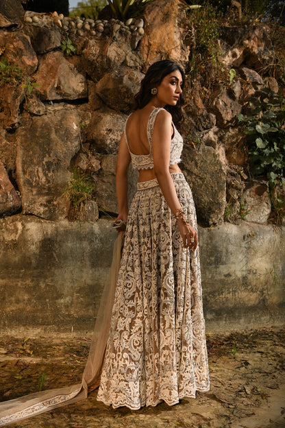 hand embroidered Lehenga with Blouse & Dupatta