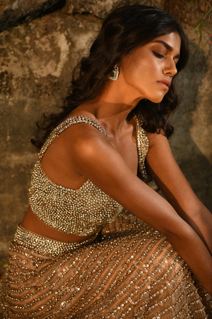 EMBELLISHED LEHENGA SET
