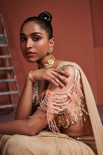 Gold Shimmer Saree