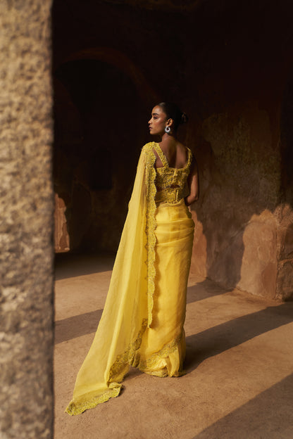 Dream weaver blouse and saree set