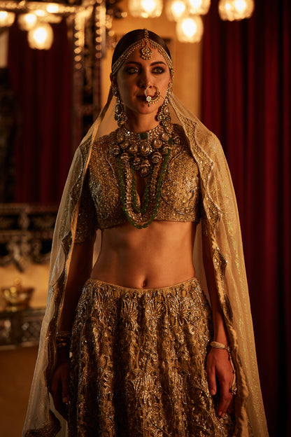 Golden Lace fully embroided Lehenga , Blouse & Dupatta