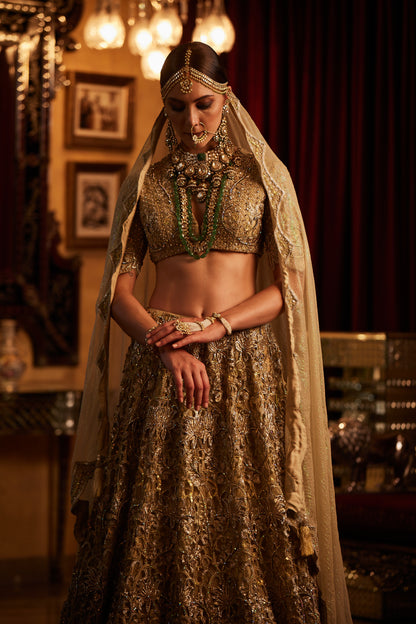 Golden Lace fully embroided Lehenga , Blouse & Dupatta
