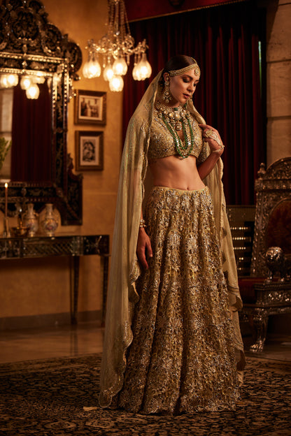 Golden Lace fully embroided Lehenga , Blouse & Dupatta