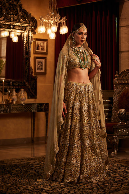 Golden Lace fully embroided Lehenga , Blouse & Dupatta