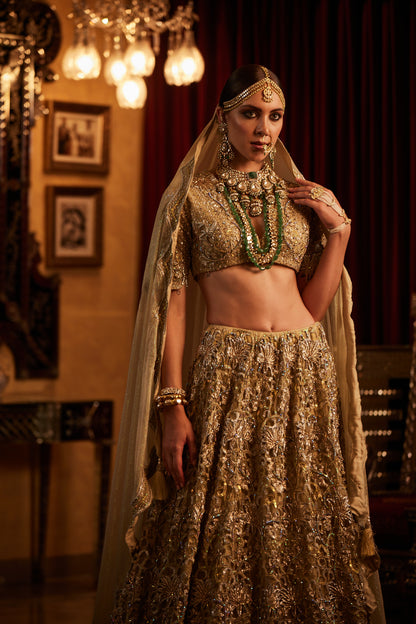 Golden Lace fully embroided Lehenga , Blouse & Dupatta