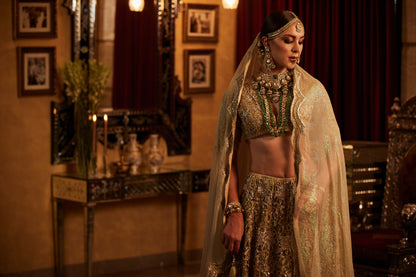 Golden Lace fully embroided Lehenga , Blouse & Dupatta