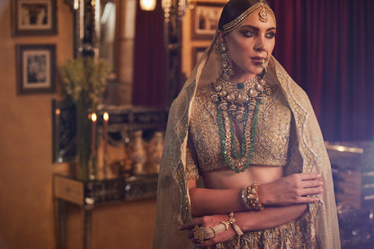 Golden Lace fully embroided Lehenga , Blouse & Dupatta
