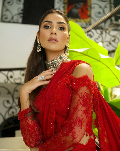 Red lace saree