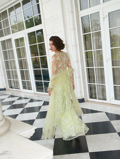 LIME GREEN NET PEPLUM SHARARA SET