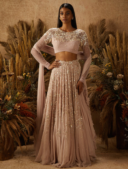 Dusty Pink Georgette Embellished Lehenga Set