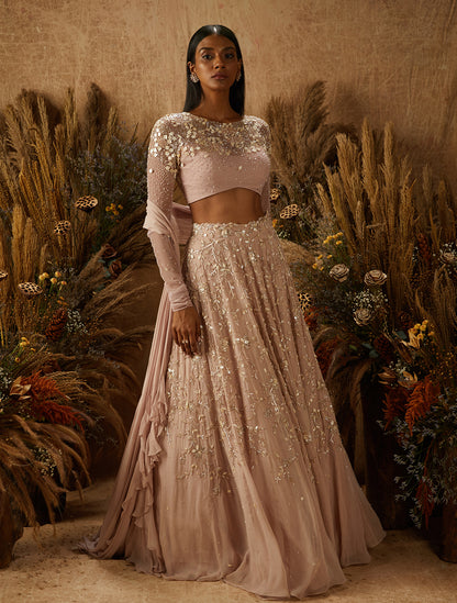 Dusty Pink Georgette Embellished Lehenga Set