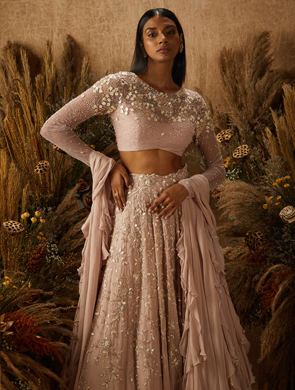 Dusty Pink Georgette Embellished Lehenga Set