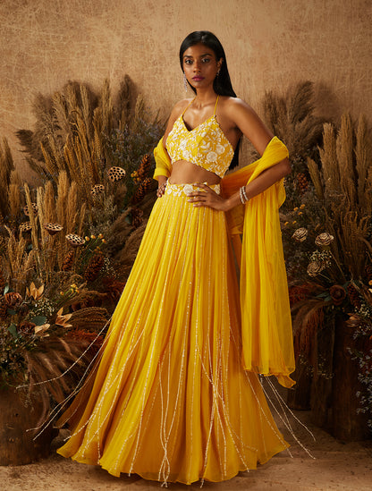 Yellow Georgette Embellished Lehenga Set