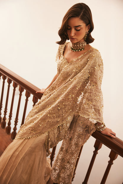Tissue Pre Drape Saree With Veil