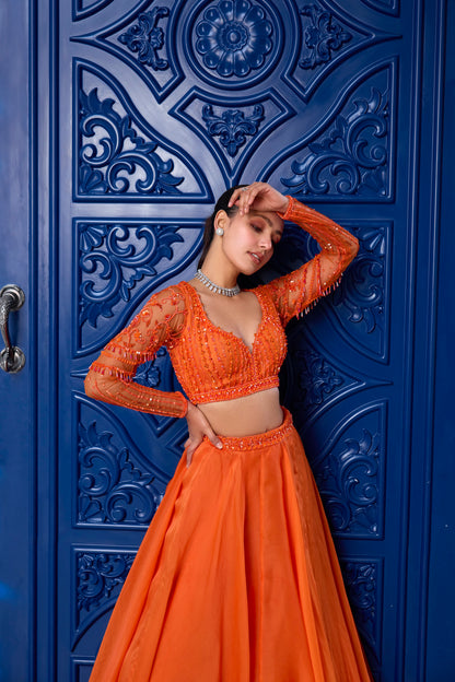 ORANGE TONAL BLOUSE AND ORGANZA SKIRT SET